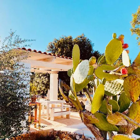 Holiday home Trullo Cristelle Ceglie Messapica