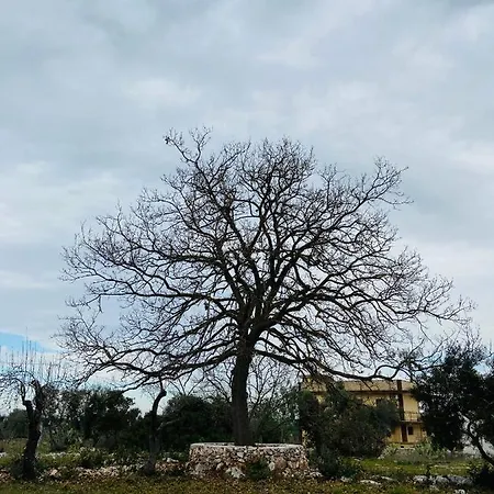 Holiday home Trullo Cristelle Ceglie Messapica
