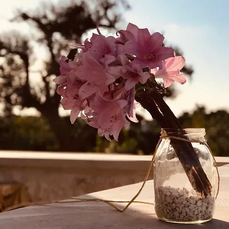 Trullo Cristelle